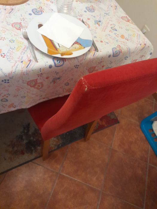 4 Cadeiras Sala Jantar Bordaux