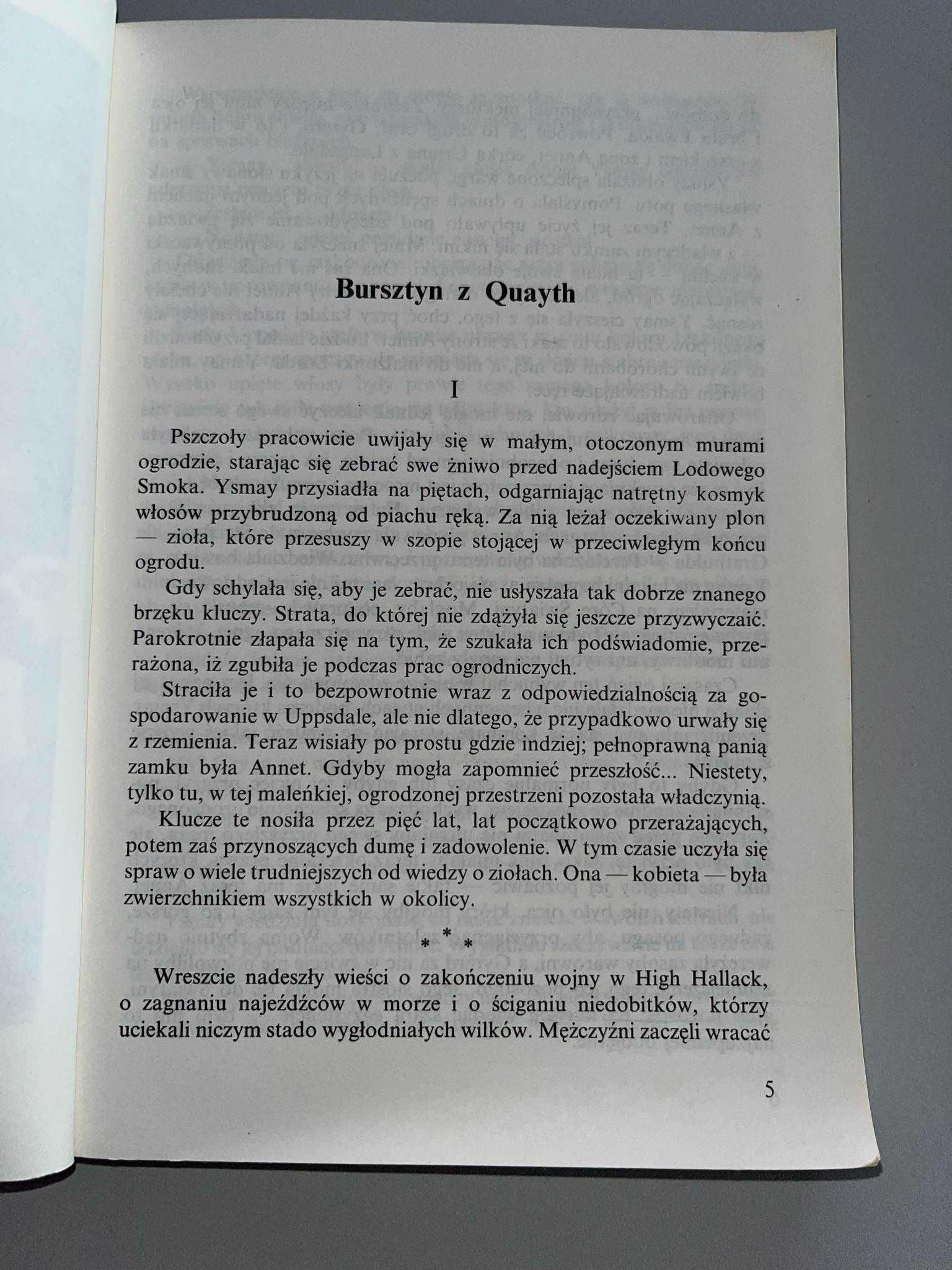 Książka Świat Magii Czarownic - Andre Norton