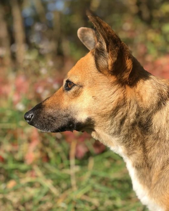 Edi szuka świadomego domu