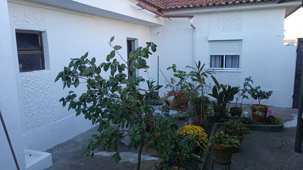 Casa mobilada a alugar a um casal ou pessoa sozinha