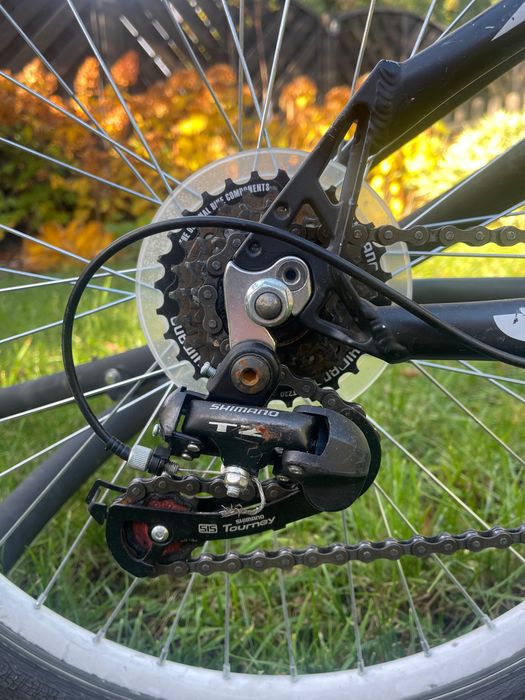 Rower MONTERIA Fitness 24 Lady