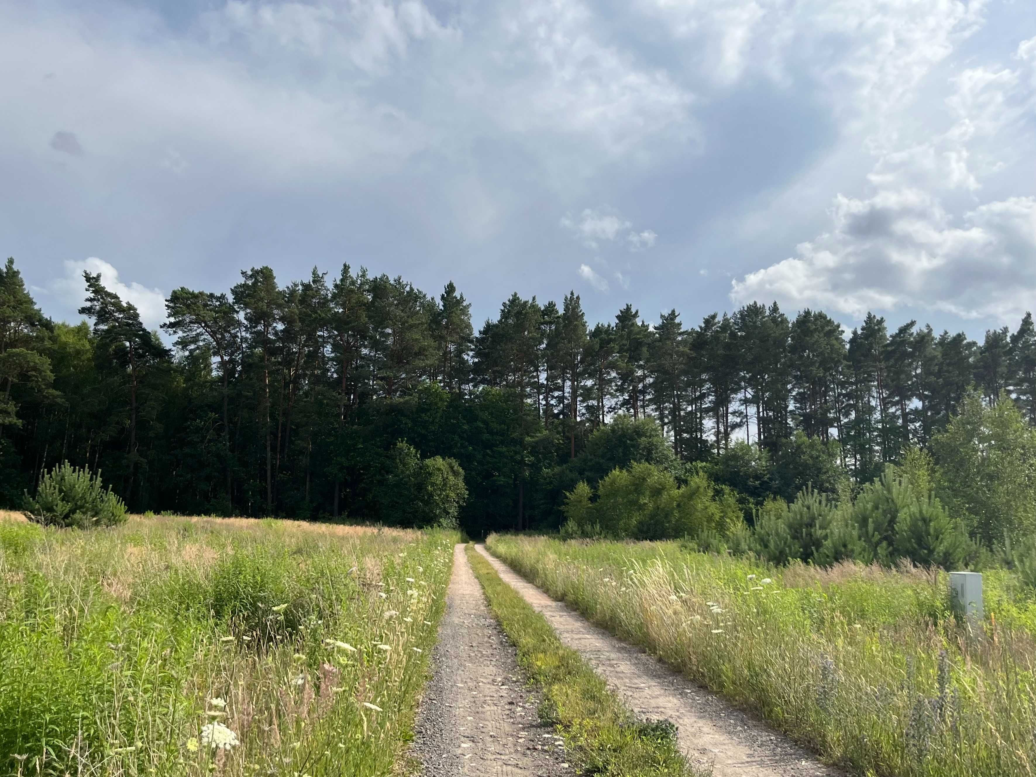 Piękna działka w Santocku gm. Kłodawa