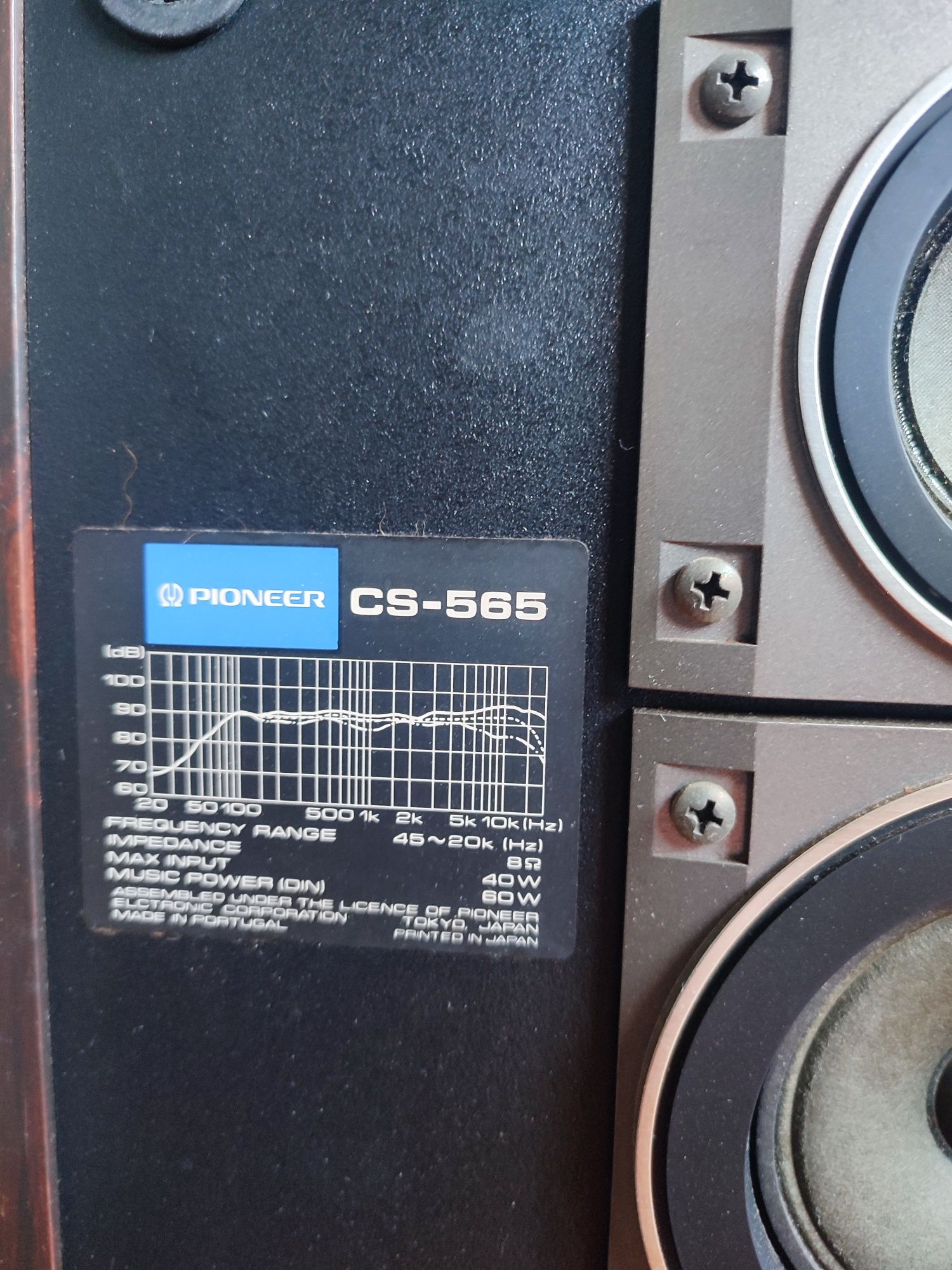 Colunas Pioneer CS 565