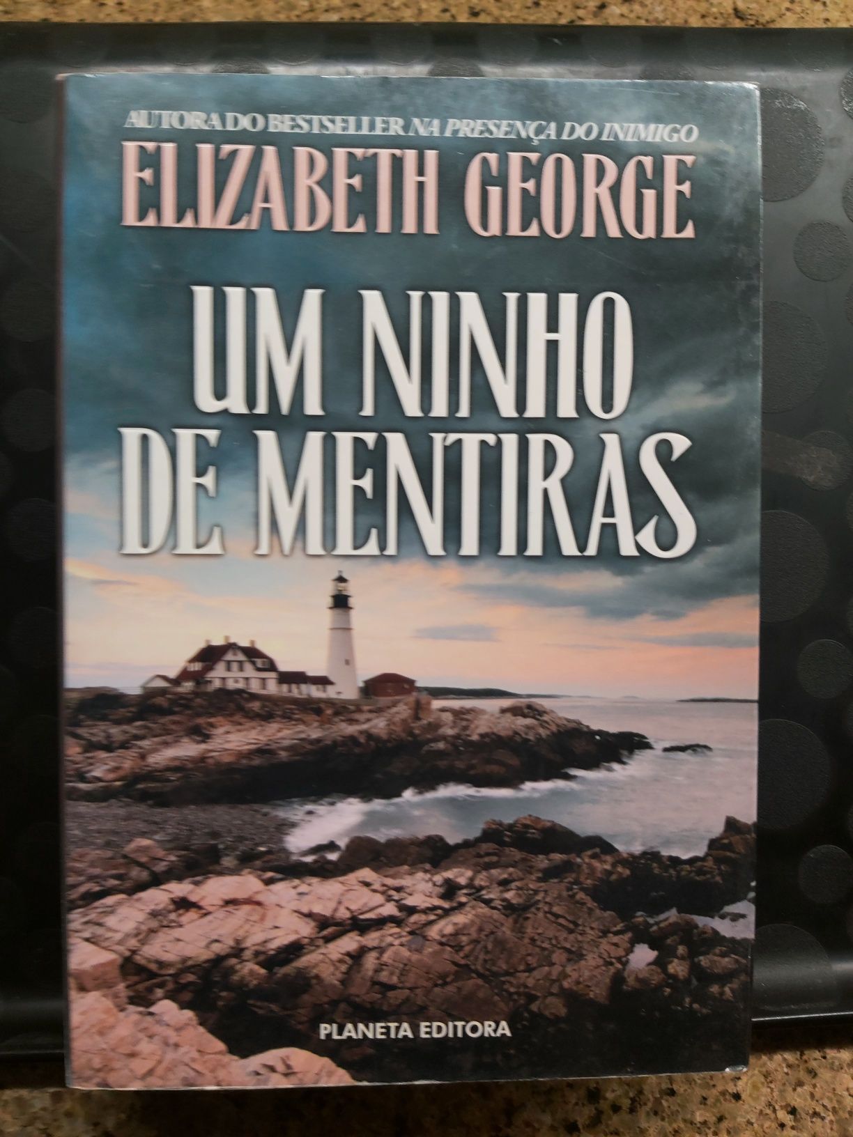 Um Ninho de Mentiras 
de Elizabeth George