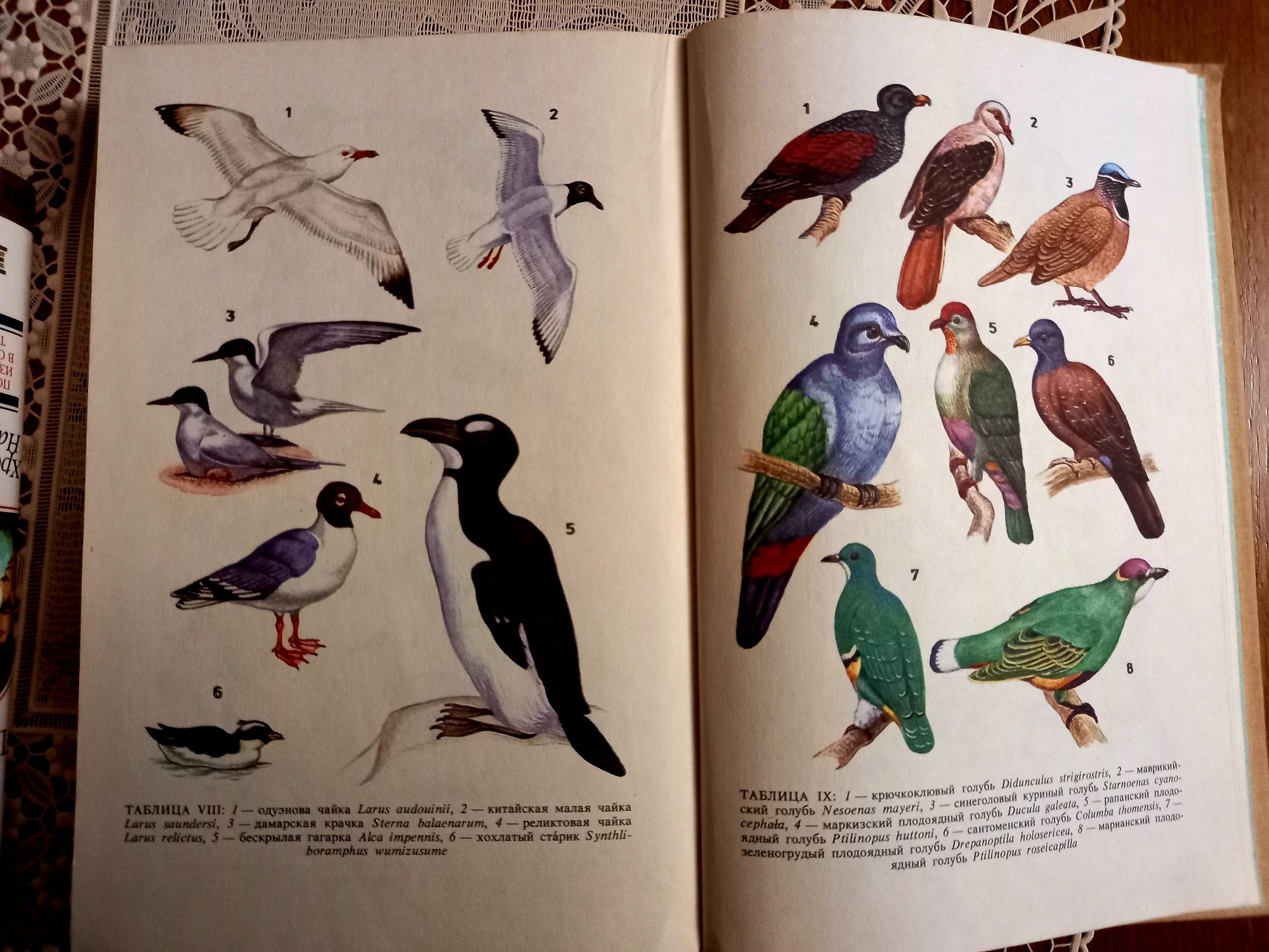 Энциклопедия редких и исчезающих птиц