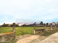 Terreno em Marinhais (M562)