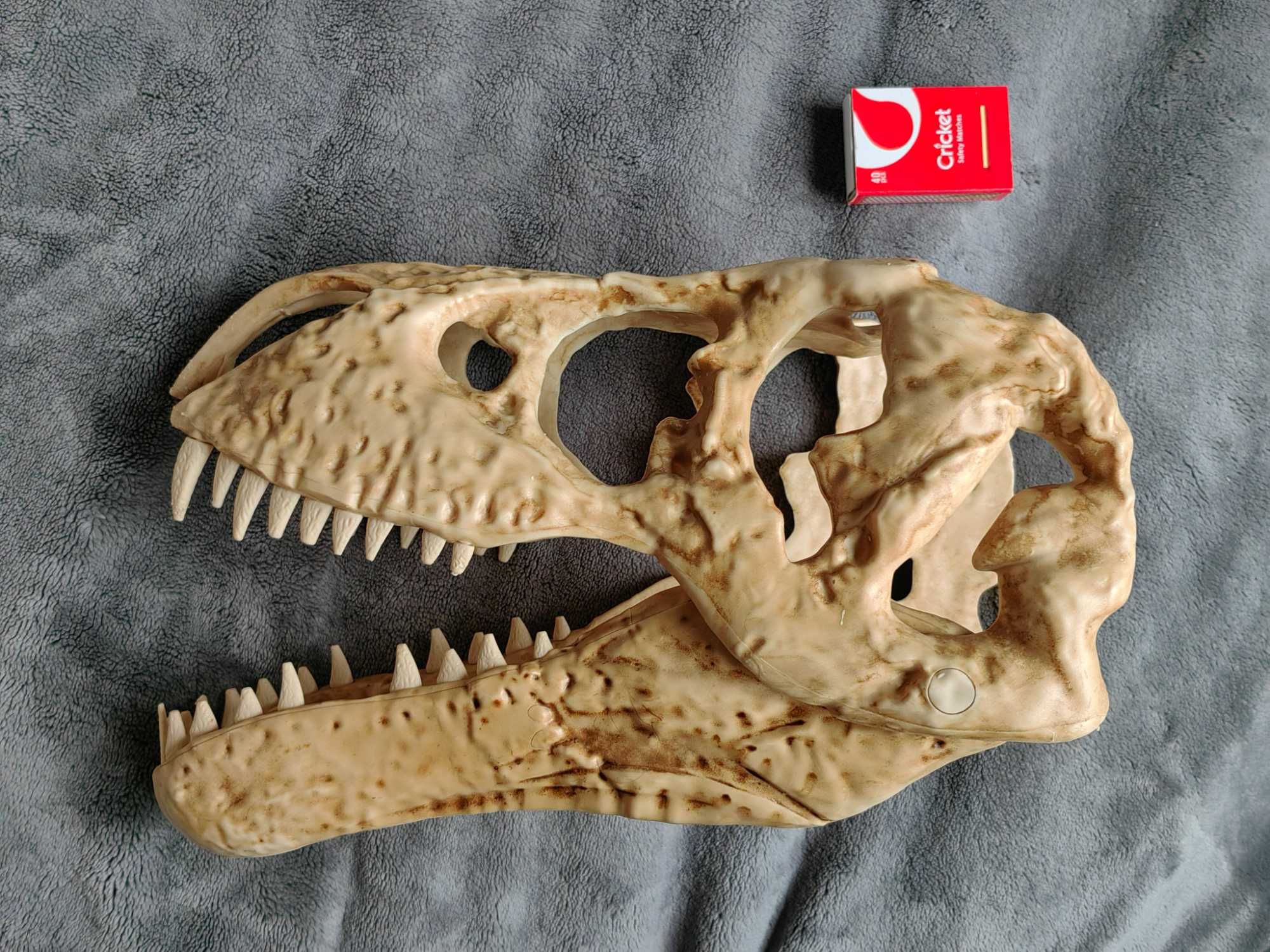 Duża plastikowa czaszka dinozaura do dekoracji / akwarium