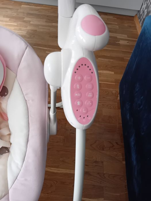 Bujaczek Lionelo Robin