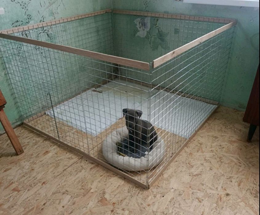 Манеж, Вольер, Клітка, Клетка для собак, щенков, кошек, котят,кроликов