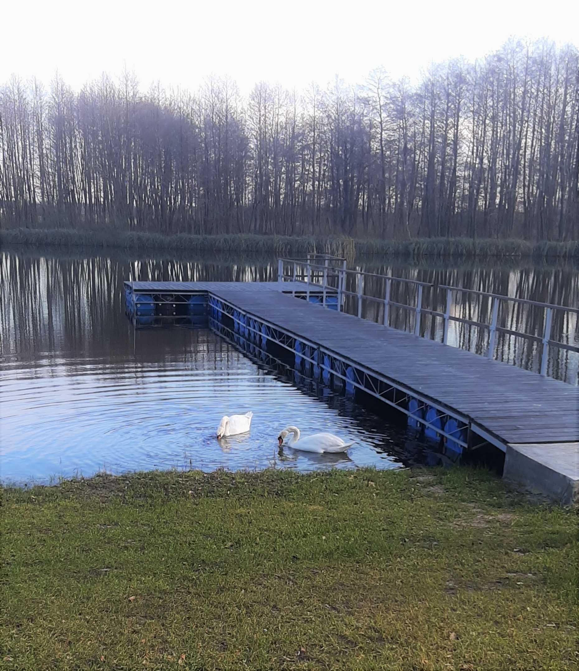 Agroturystyka, domek do wynajęcia całoroczny , klimatyzowany