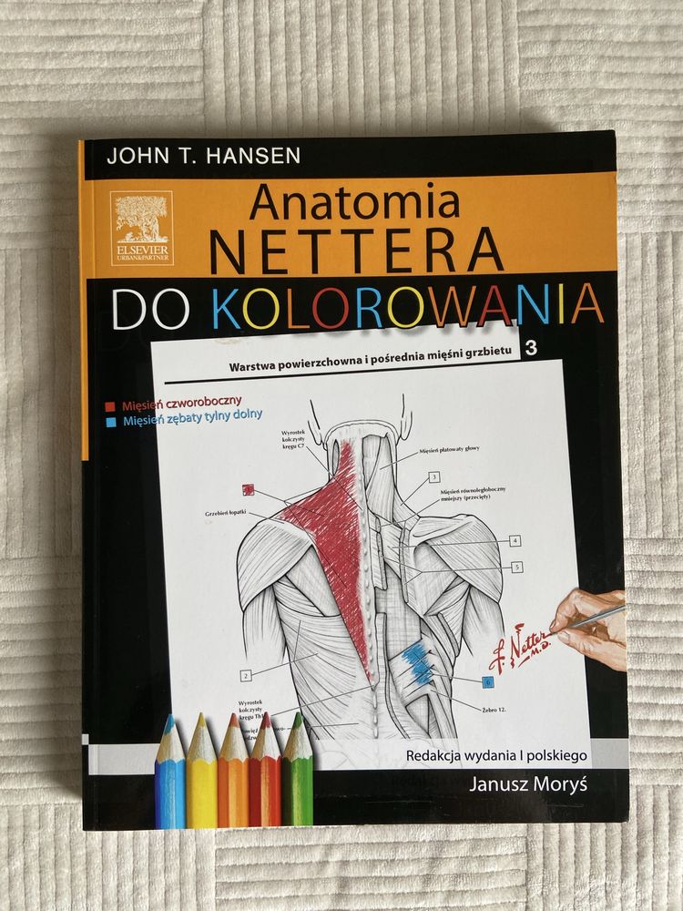 Anatomia Nettera do kolorowania John T.Hansen