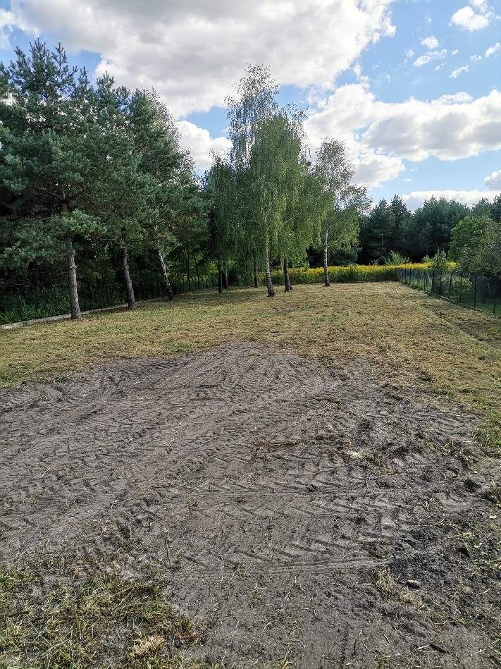 Koszenie/czyszczenie działek/karczowanie/wycinka drzew/porządkowanie