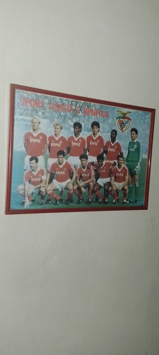Quadro SLBENFICA 89/90