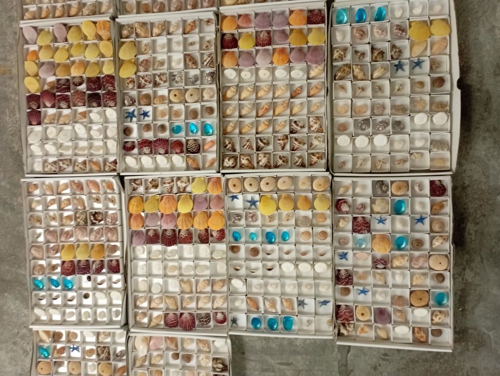 Conchas e Búzios