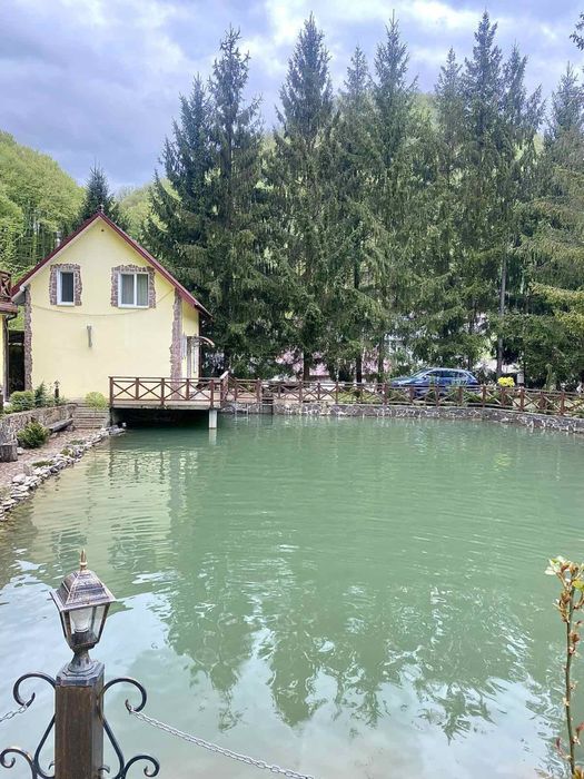 Новий рік Різдво Подобово в ШАЯН БАНЯ будинок Закарпатье Карпаты