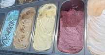 Gelados para revenda