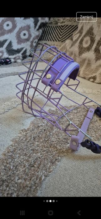 Kaganiec Chopo rottweilerka