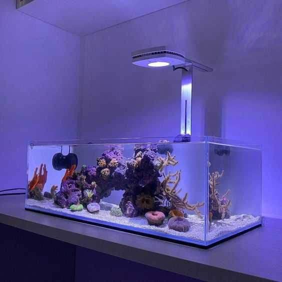 Нано набор ( аквариум, подстилка,светильник) 1500 грн