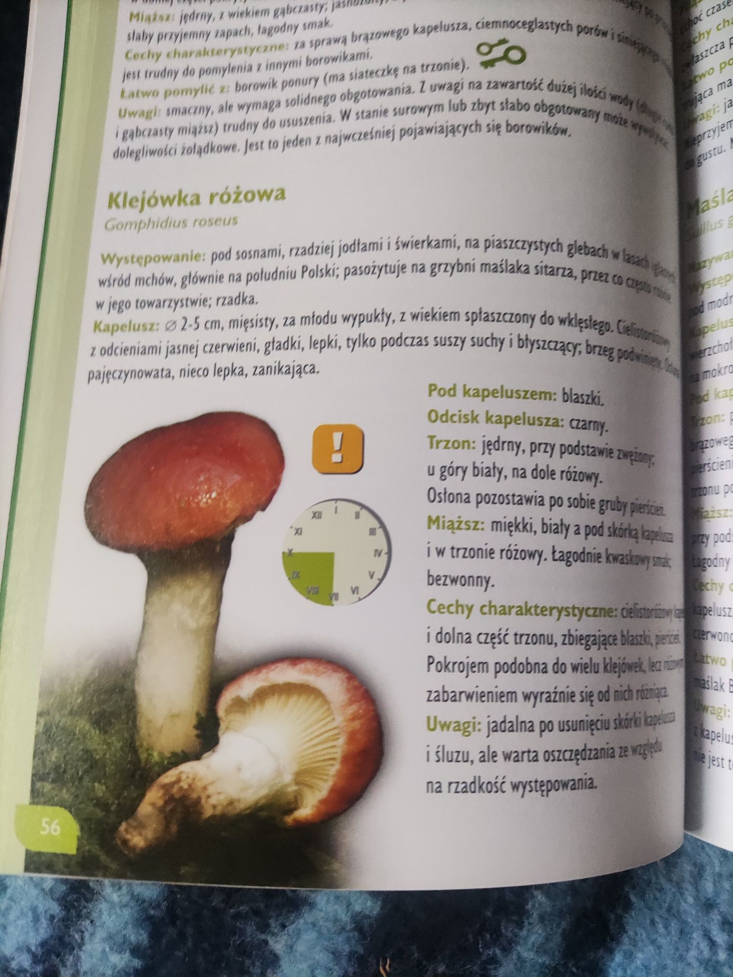 Atlas grzybów 200 zdjęć