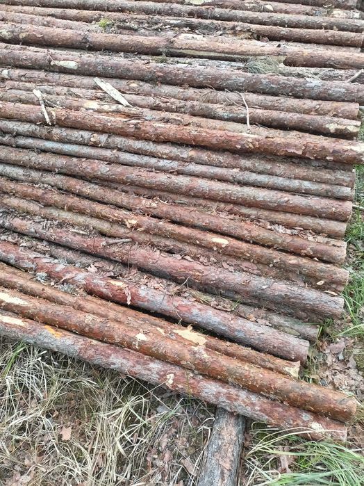 słupki drewniane, kołki, paliki,tyczki