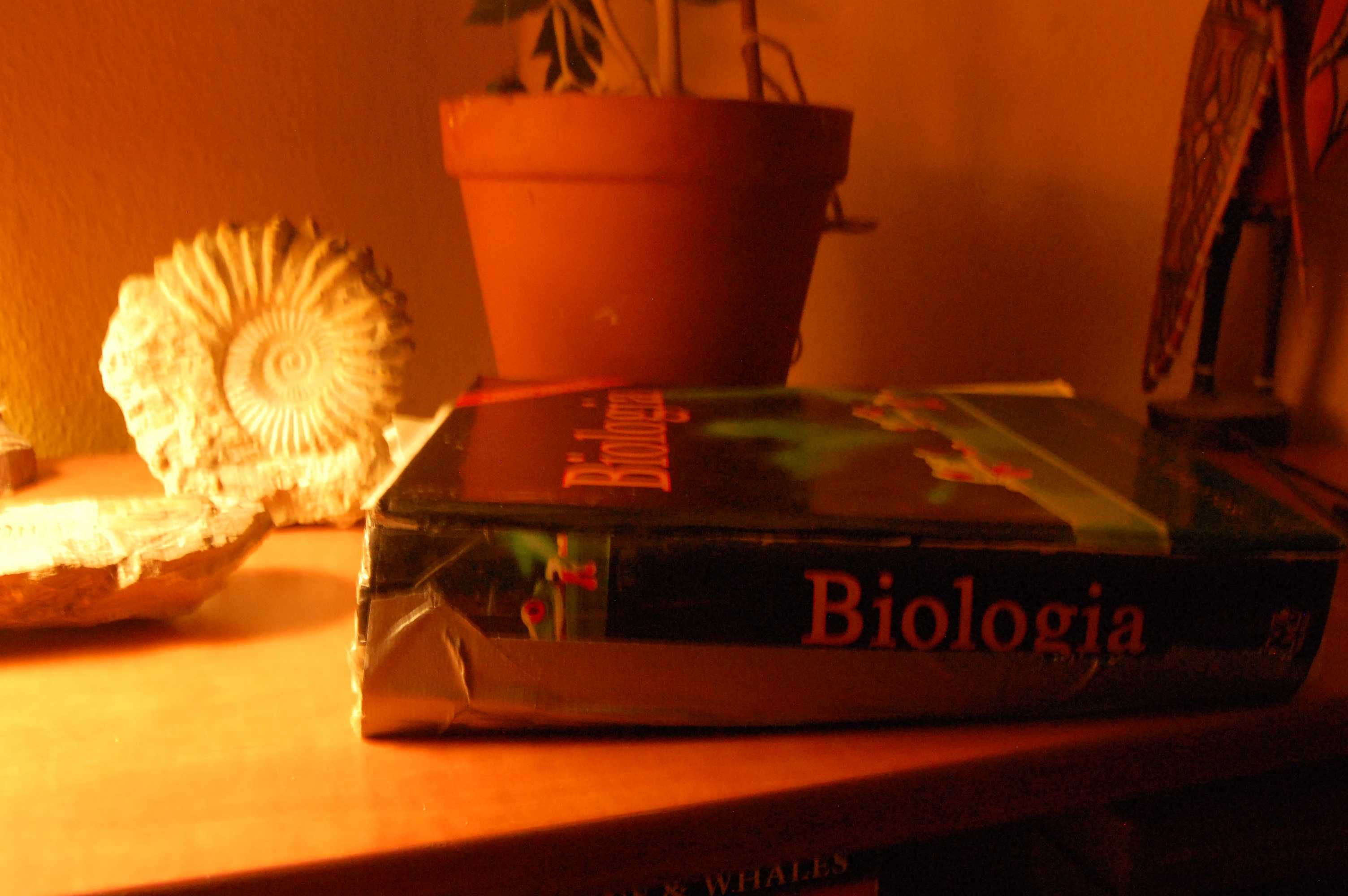 Biologia Diana W. Martin, Eldra P. Solomon, Linda R. Berg