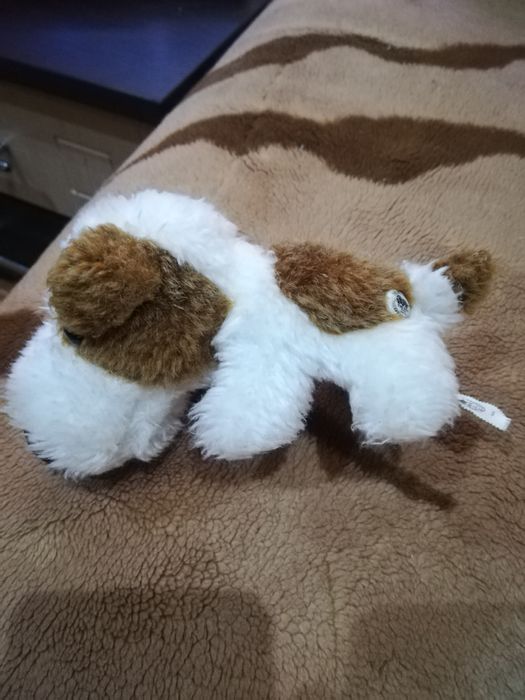 Продам dog collection