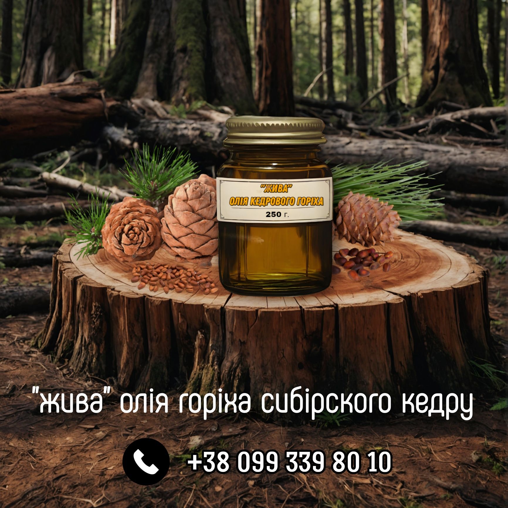 Жива олія кедру ,олія горіха кедру сибірского, масло Кедра Сибирског