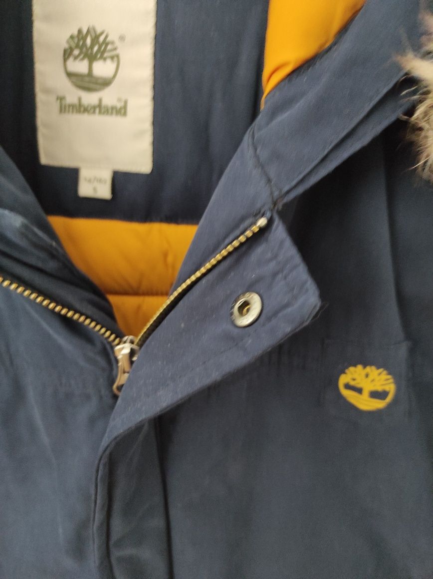 Parka Timberland dla chłopca