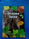 DRZEWA LEŚNE Hanna Będkowska klucz do rozpoznawania edukacja kolorowa