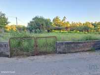 Terreno em Freiriz de 3900,00 m2