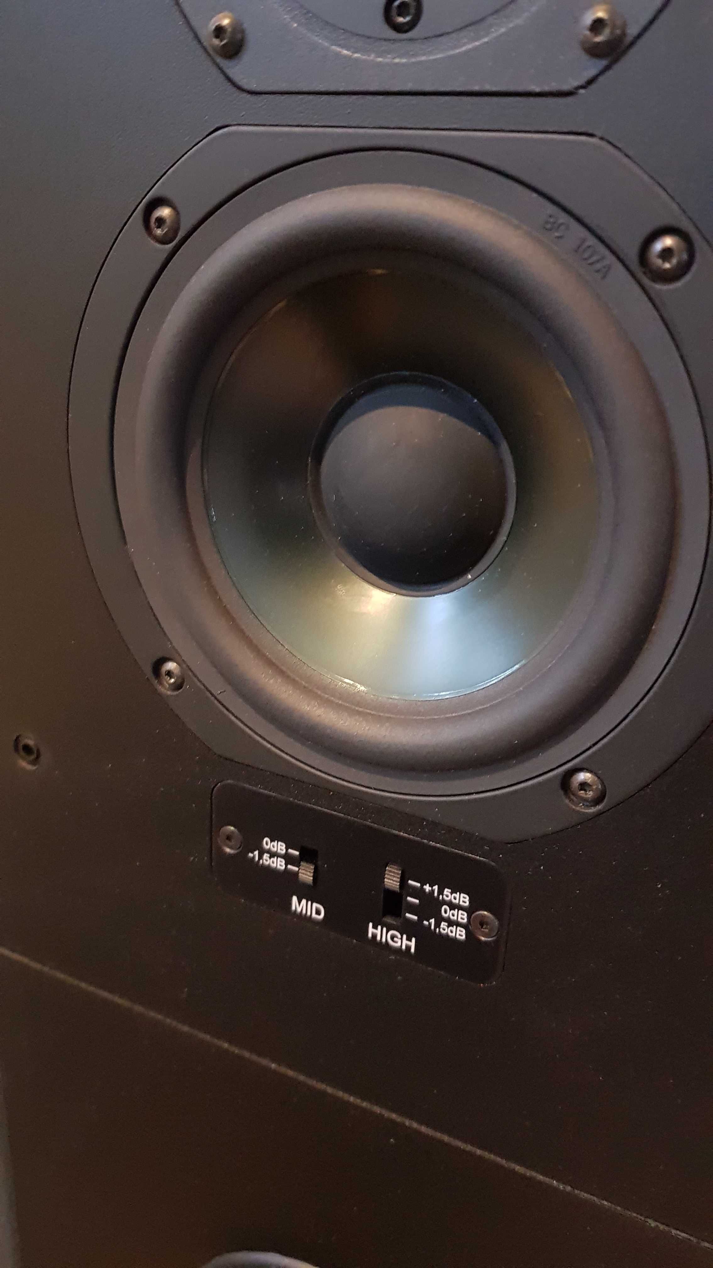 Kolumny T+A  Criterion TB 160  Linia transmisyjna .