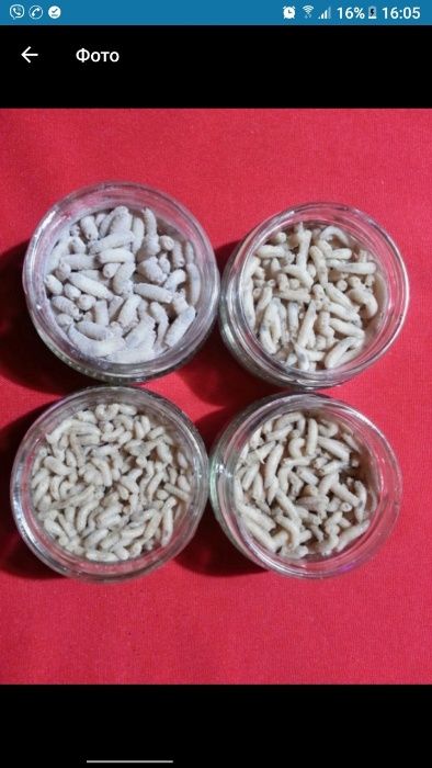 Мотиль.Опариш ( опарыш ) великий,пінка.червьяк:навозник, Дендробена