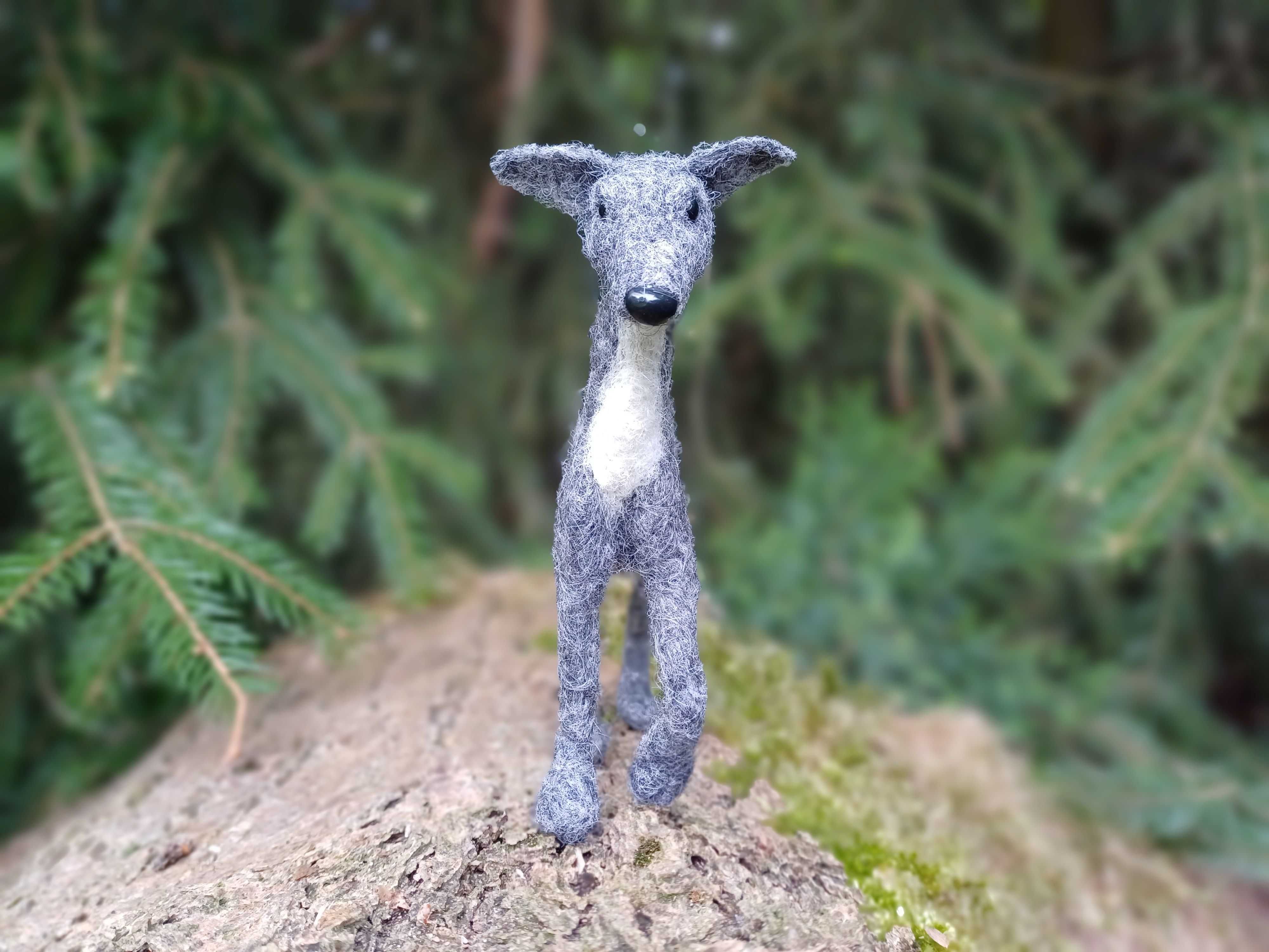 Whippet, chart włoski filcowana figurka psa