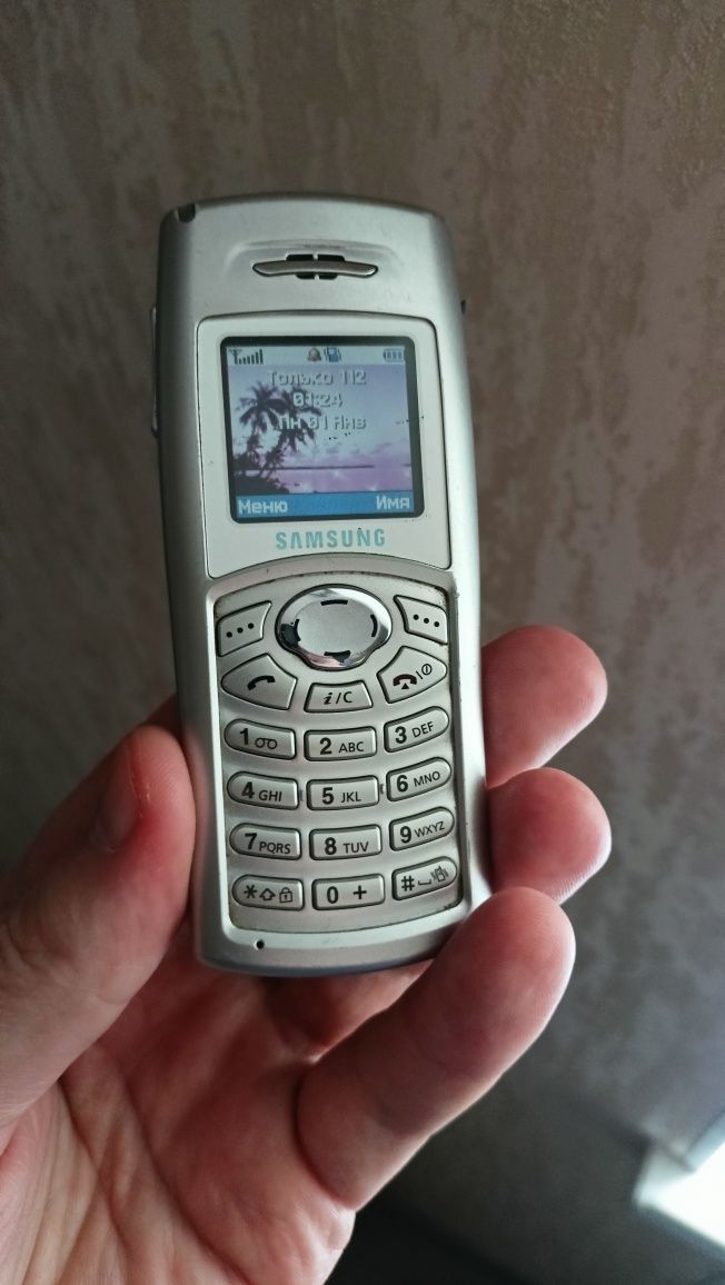 Телефон Samsung SGH-C100