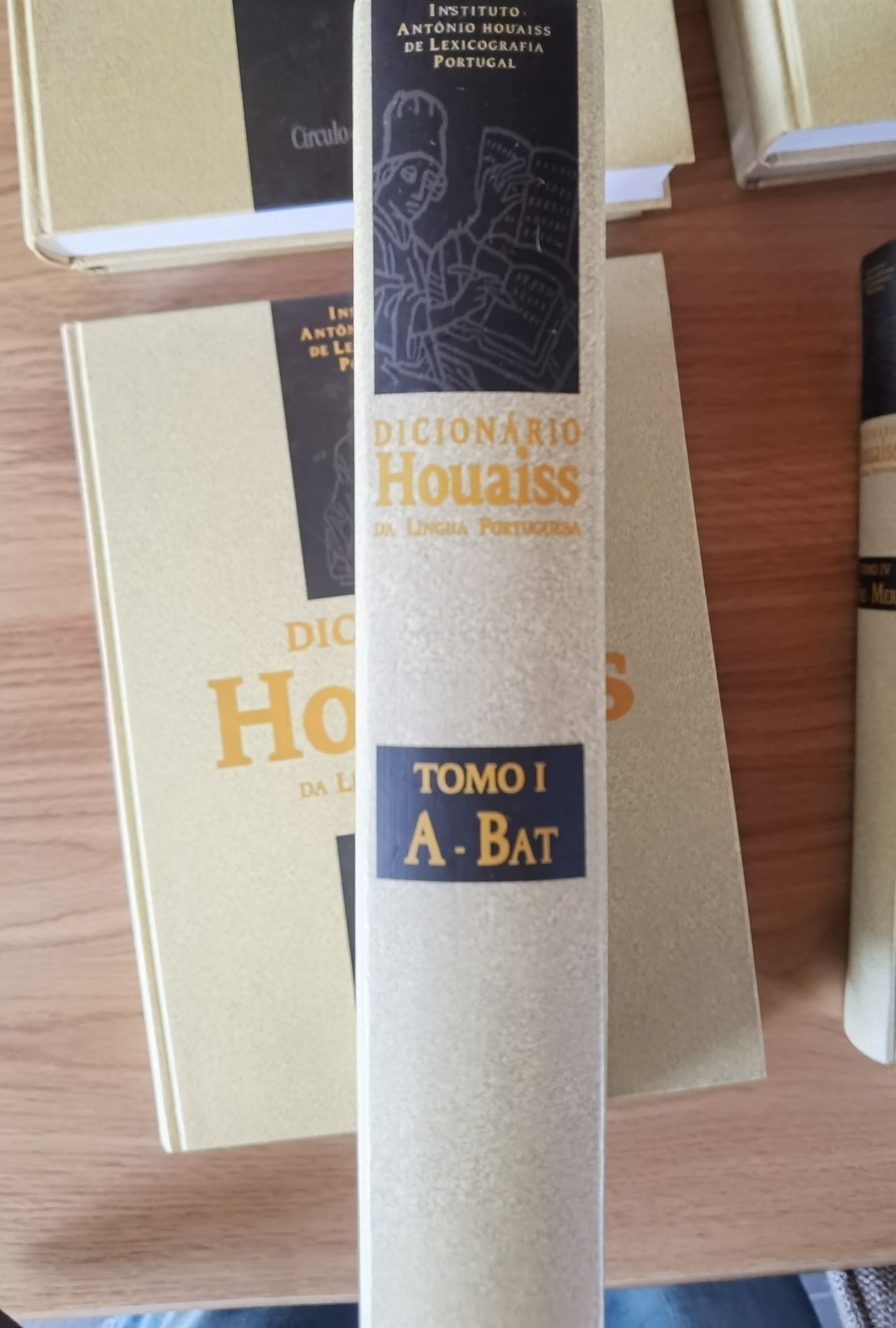 Dicionário Houaiss da Língua Portuguesa
