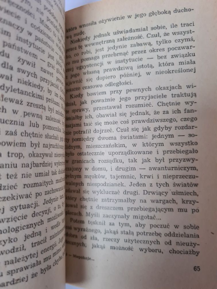 Niepokoje wychowanka Törlessa - Robert Musil