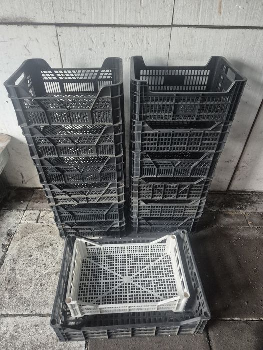 12 skrzynek na warzywa owoce Casi 5 kg 6 kg i 2 inne