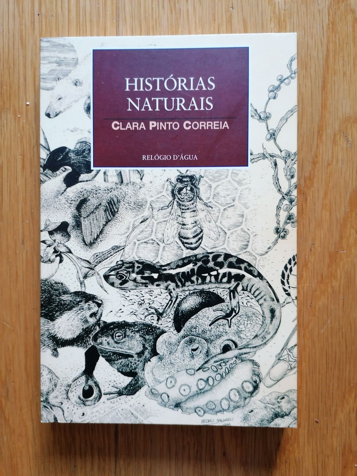 4&1Quarto,de Rita Ferro e Histórias Naturais, de Clara Pinto Correia