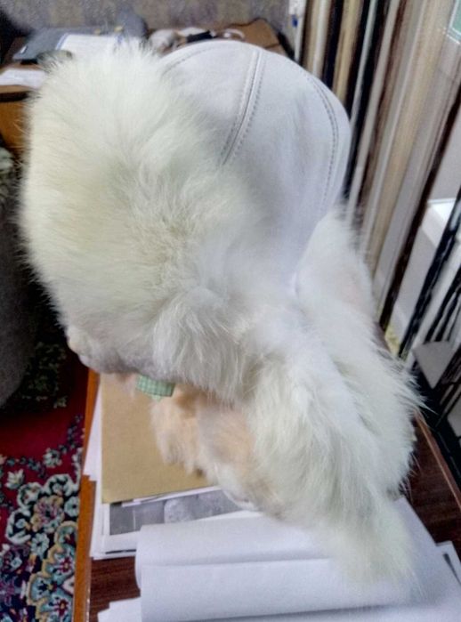 Женская шапка зимняя из кожи