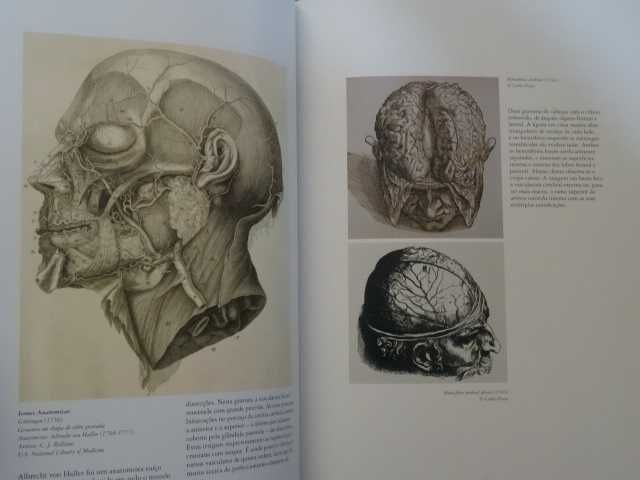 Atlas da Arte Anatómica de Luis Raúl Lépori - 4 Volumes