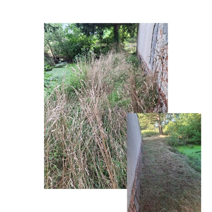 Koszenie traw, trawników, usługi glebogryzarką, wycinka drzew