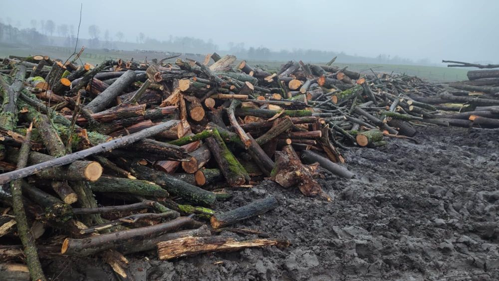 Drewno opałowe mieszane