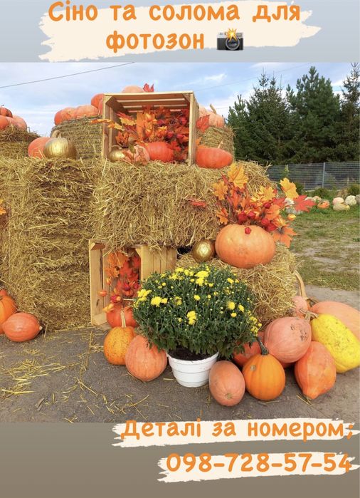 Сіно/ солома для тваринок