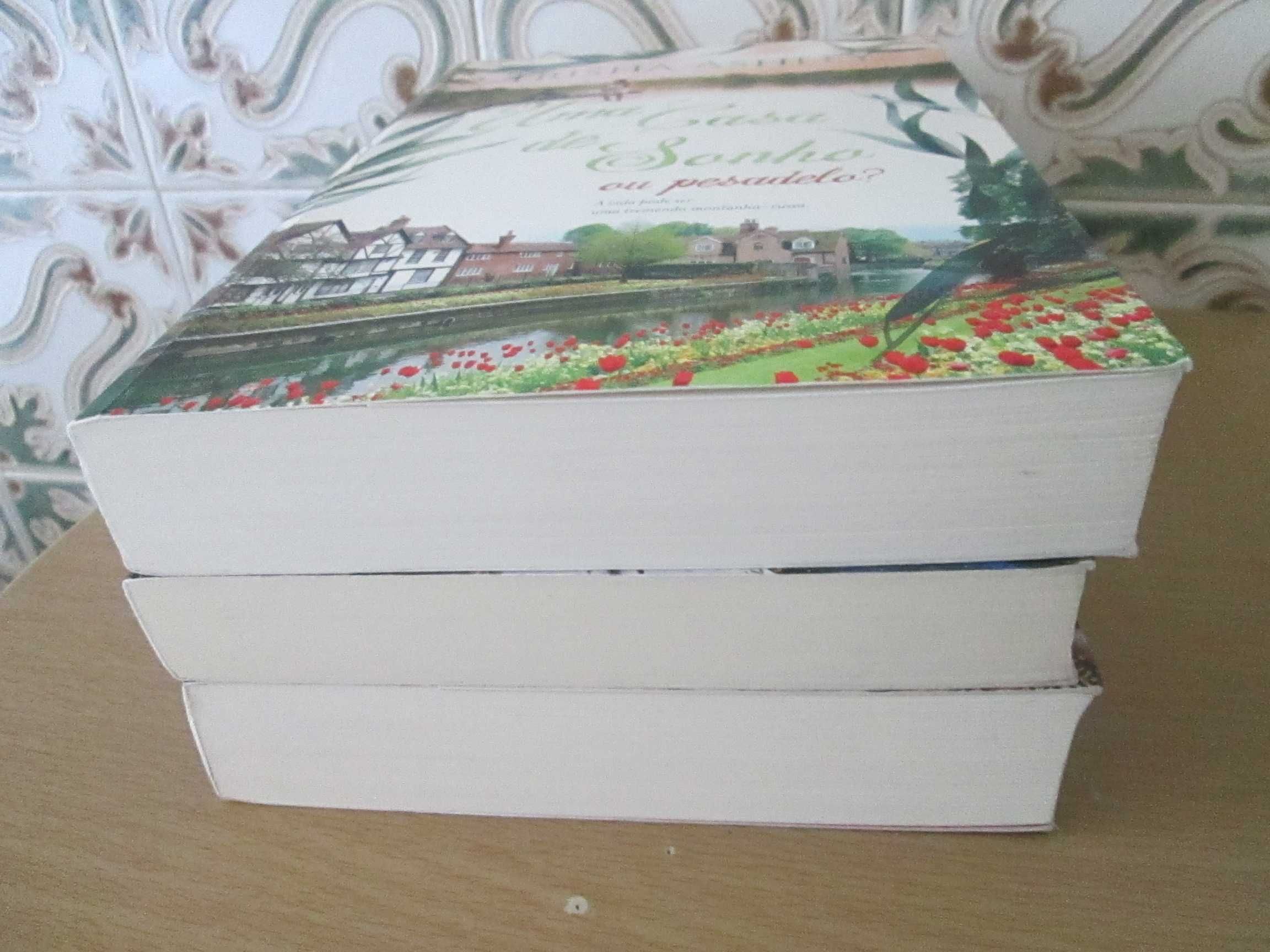 Livros Trisha Ashley (Oferta portes)