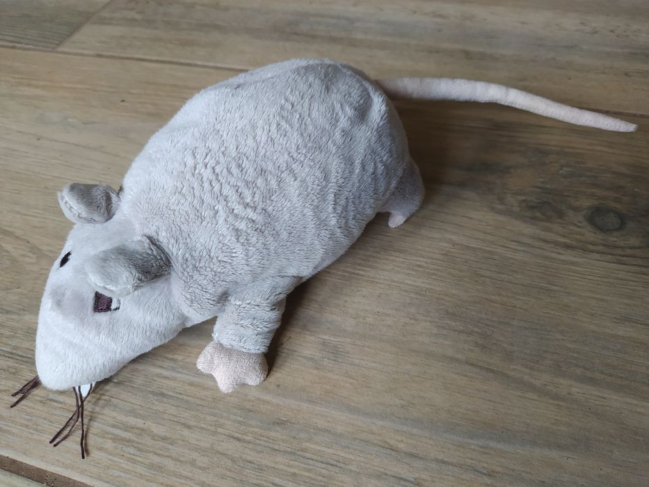 Szczur IKEA szczurek szary