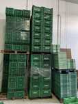CAIXAS DE PLÁSTICO 25kg 20kg 15kg