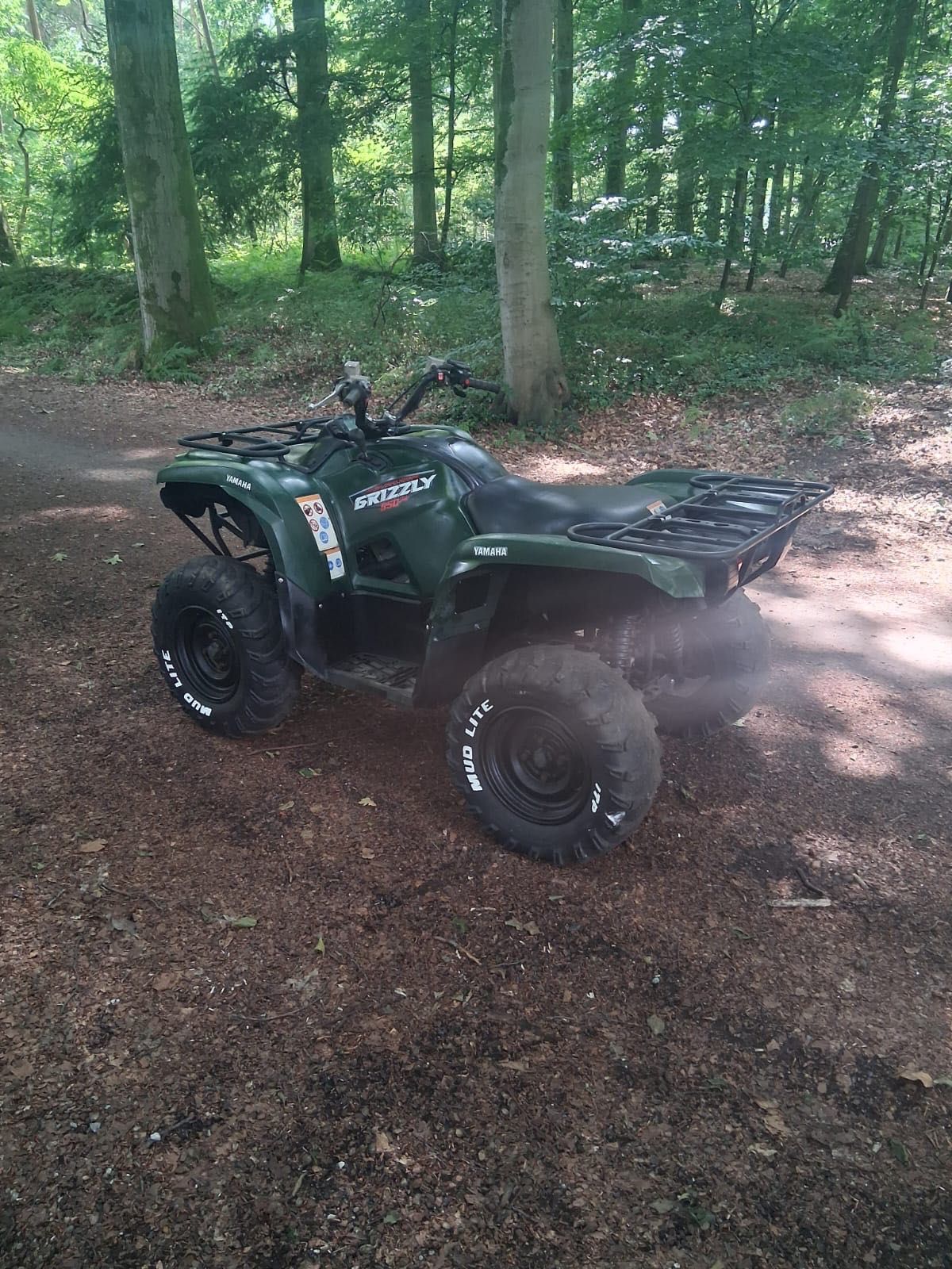 Quad Yamaha Grizzly