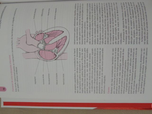 Enciclopédia médica