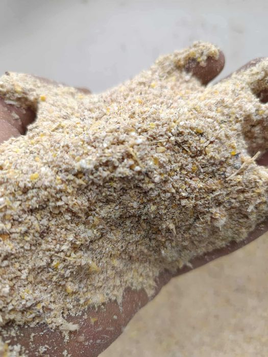 Pasza naturalna Dla Kur Niosek, Brojlerów, Kurczaków