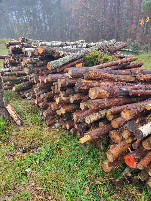 Drzewo pocięte mieszane